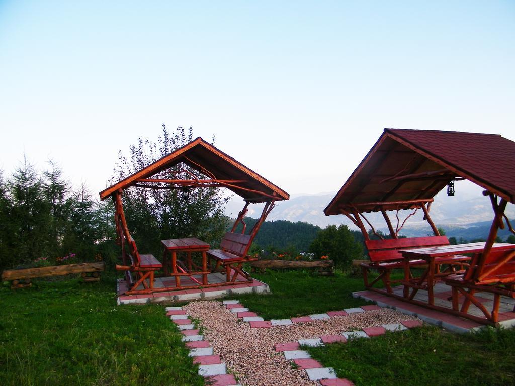Pensiunea Bujor De Munte Petrosani Exterior photo