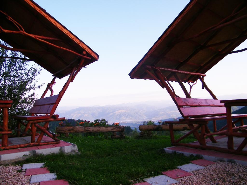 Pensiunea Bujor De Munte Petrosani Exterior photo
